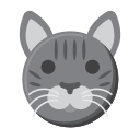 gato de pelo corto icon