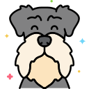 schnauzer miniatura icon