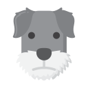 schnauzer miniatura icon