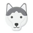 husky siberiano icon