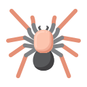 tarántula icon