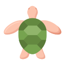 tortuga icon