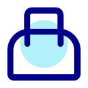 bolsa icon