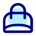 bolsa icon