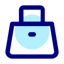 bolsa icon