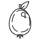 Fruit icon