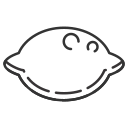 Fruit icon