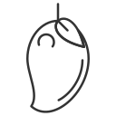 Fruit icon