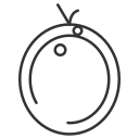 Fruit icon