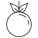 Fruit icon