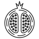 Fruit icon