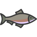 coho icon