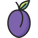 fruta icon