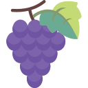 fruta icon