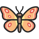 mariposa 