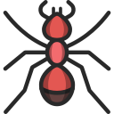 rojo icon