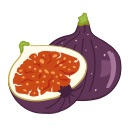 Fruit 