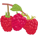 fruta icon