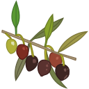 aceitunas icon