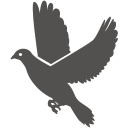 Peace 