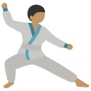 judo icon