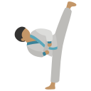 hapkido icon