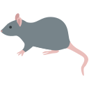 ratón icon