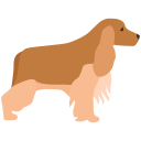 chien 