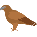 pájaro icon