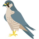 pájaro 