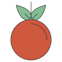 fruta icon