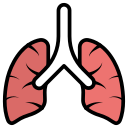 pulmones icon