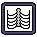 côtes 