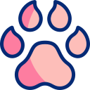 lince animated icon