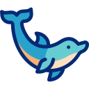 Dolphin 