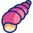 caracol de mar 