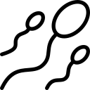 Science 