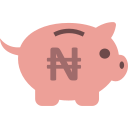 naira icon