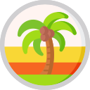 Palmera icon