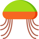 Sombrero icon