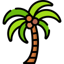 Palmera