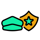 seguridad icon