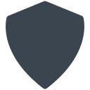 seguridad icon