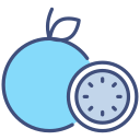 guayaba icon