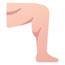 Leg Generic Detailed Outline icon