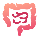 Intestino icon