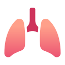 Pulmones icon