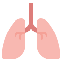 pulmones icon