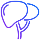 hígado icon