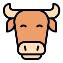 vaca 